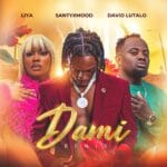 SantyXmood- Dami Remix ( Feat. David Lutalo & Liya)
