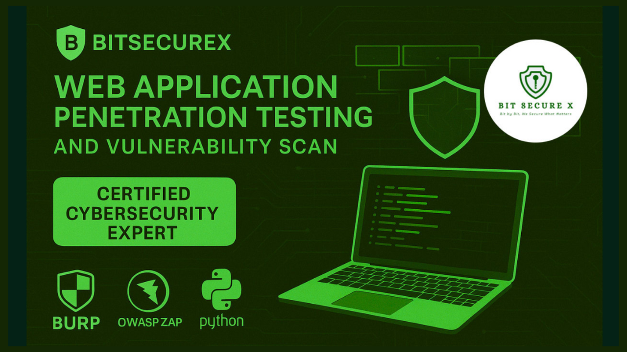 website penetration testing vulnerability discovery